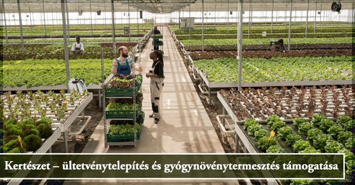 Kertészet ültetvénytelepítés és gyógynövénytermesztés támogatása