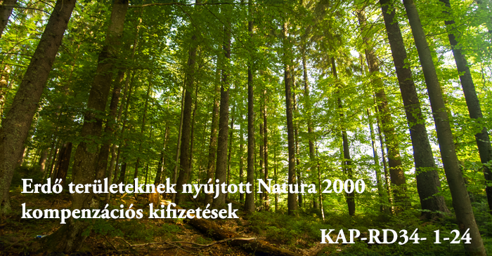 Erdő területeknek nyújtott Natura 2000 kompenzációs kifizetések KAP-RD34- 1-24