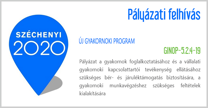 Új Gyakornoki Program (GINOP-5.2.4-19