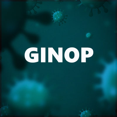 GINOP pályázatok megvalósítása a koronavírus okozta veszélyhelyzetben